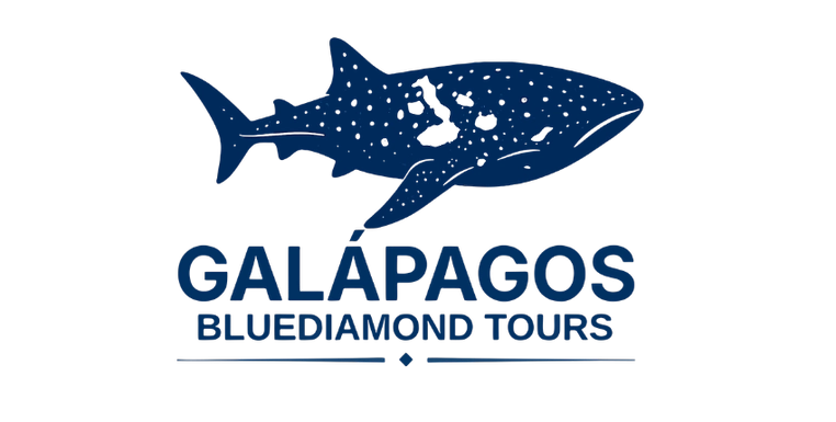 Blue Diamond Tours